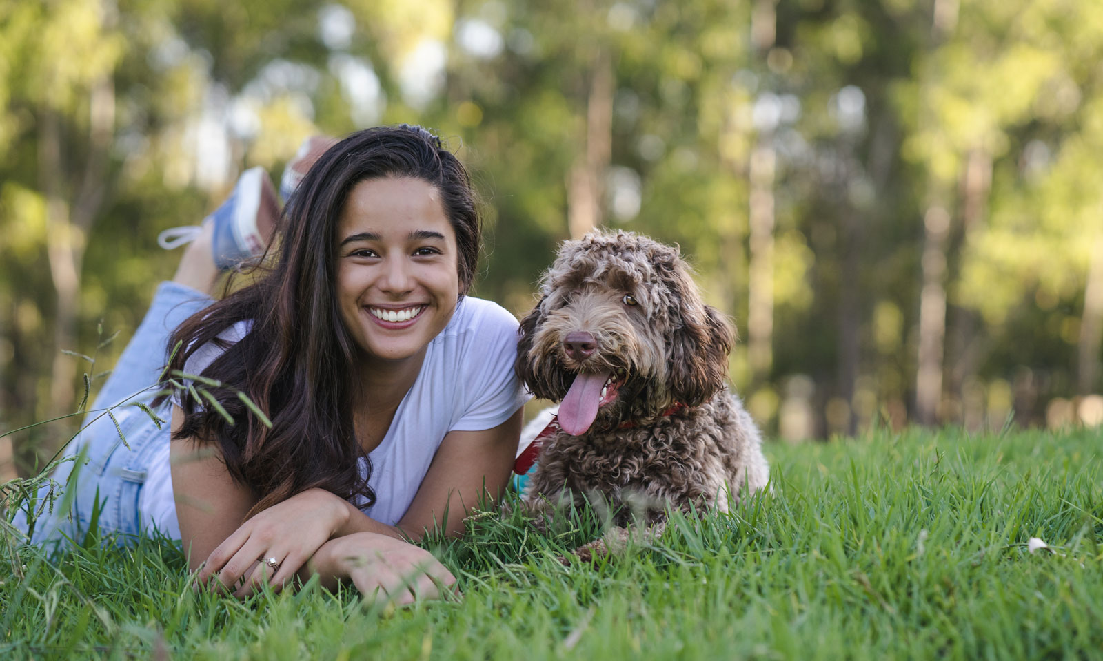 Labradoodle puppy owner Rousehill